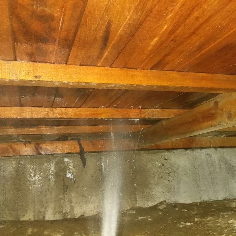 床下木材にシロアリ駆除剤を散布