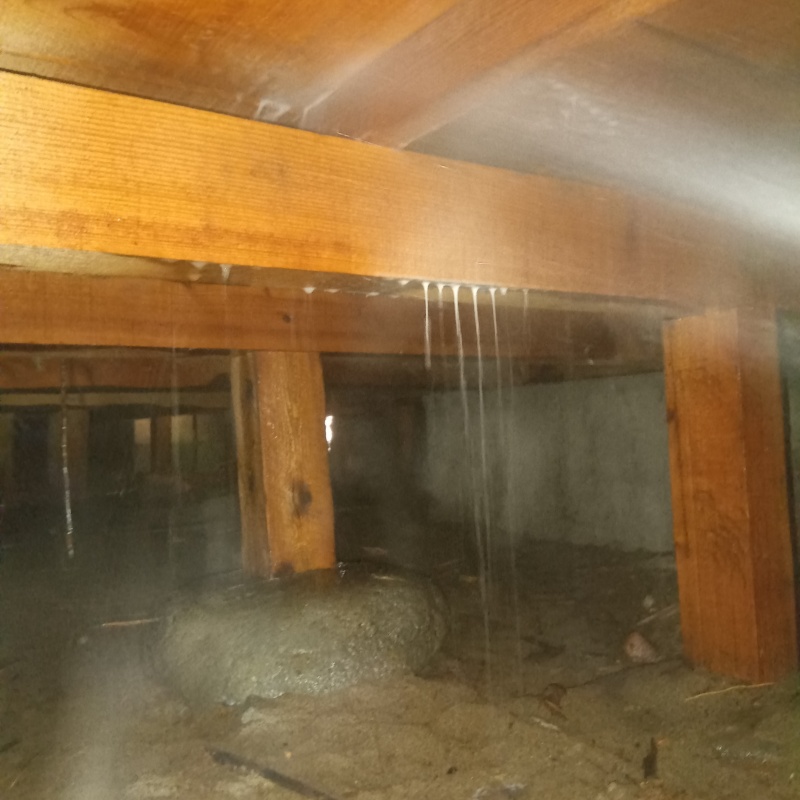 床下木材にシロアリ駆除剤を吹き付ける様子