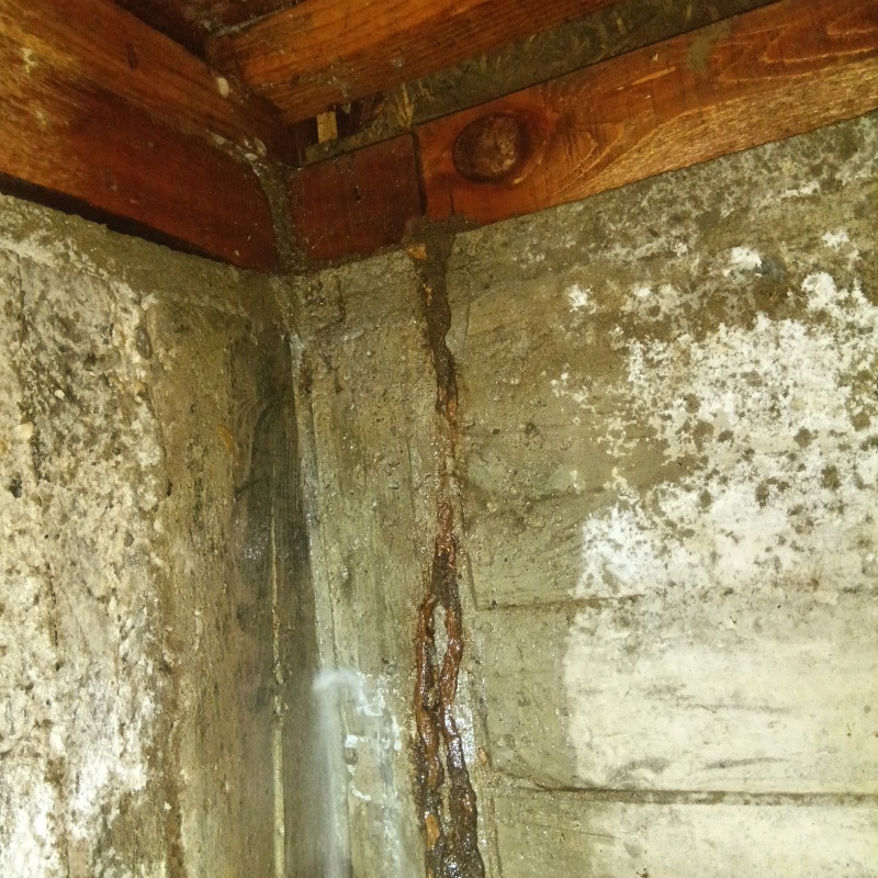 基礎にシロアリ駆除剤を散布