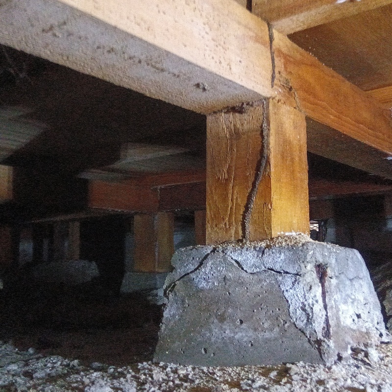 築年数47年のシロアリ駆除の施工事例（岡山県岡山市中区清水）