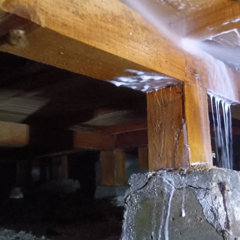 床下木材にシロアリ駆除剤を散布