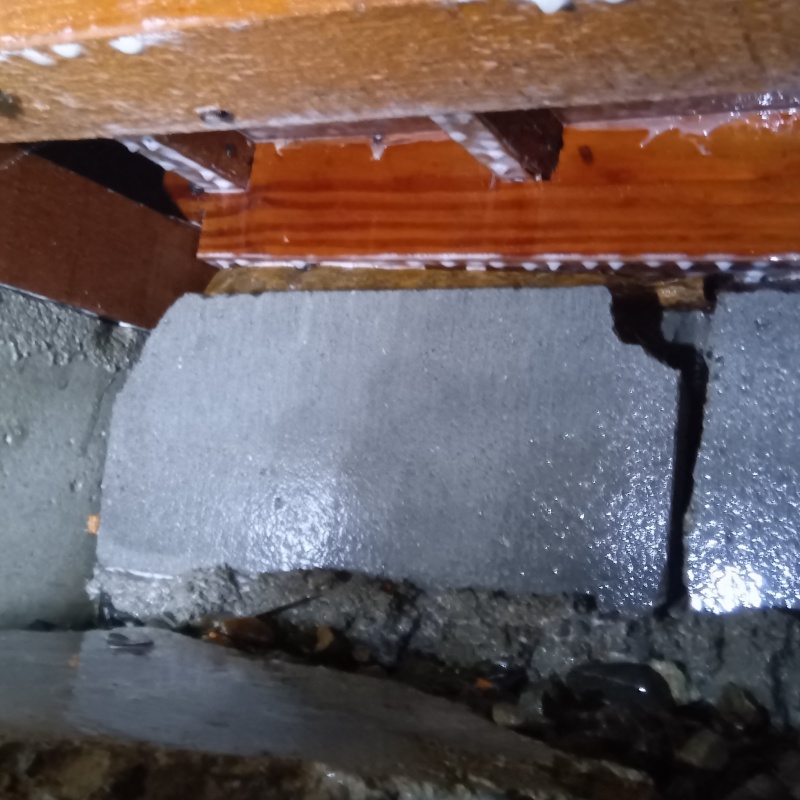 地面・基礎にシロアリ駆除剤を散布した様子