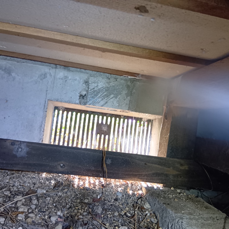 基礎にシロアリ駆除剤を散布