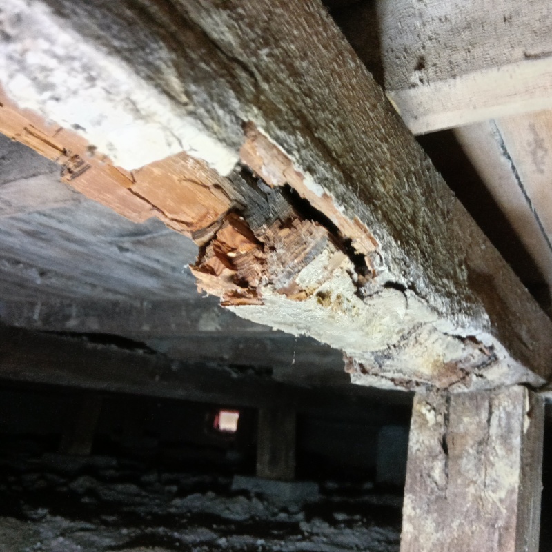 築年数35年のシロアリ駆除の施工事例（和歌山県岩出市中迫）