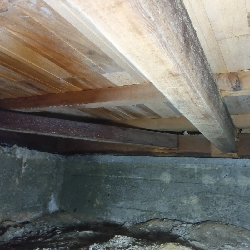 地面・基礎にシロアリ駆除剤を散布した様子