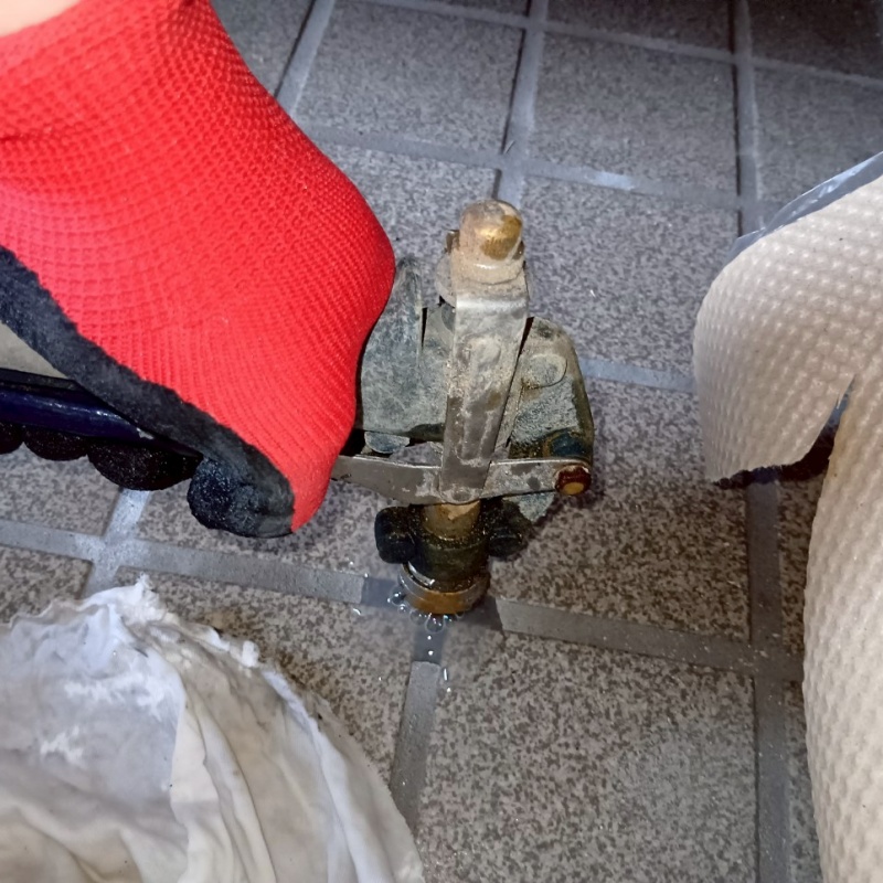 玄関床の目地から防蟻剤を注入