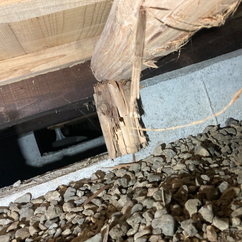 築年数51年のシロアリ駆除の施工事例（滋賀県長浜市加田町）