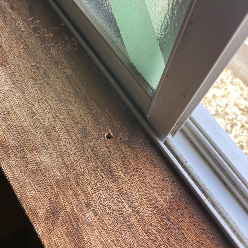 シロアリ駆除剤を注入するための穴を開けた様子