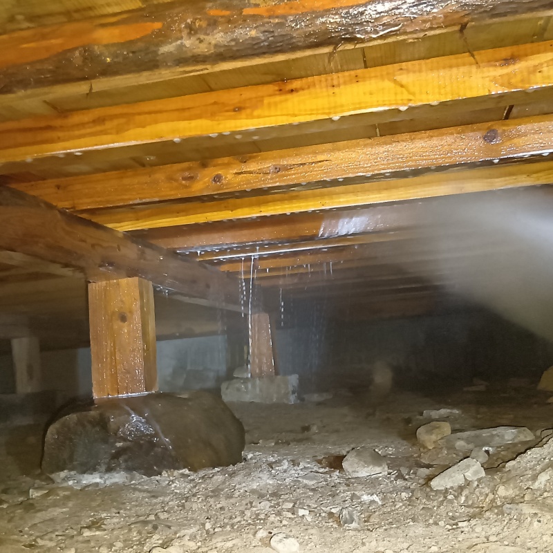 床下木材にシロアリ駆除剤を散布