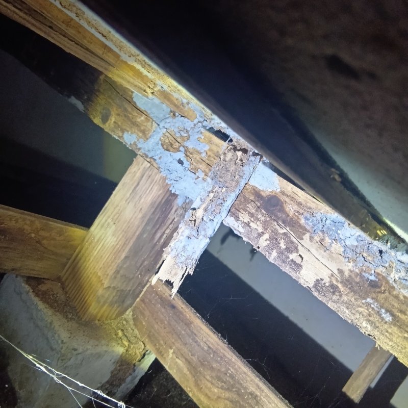 築年数20年のシロアリ駆除の施工事例（宮城県柴田郡大河原町小島）