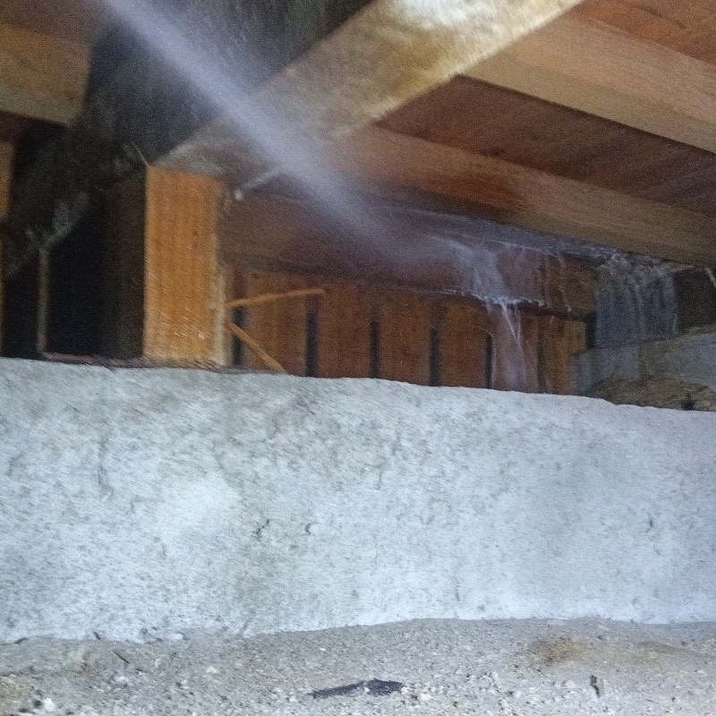 築年数50 年のシロアリ駆除の施工事例（愛媛県松山市西長戸町乙）