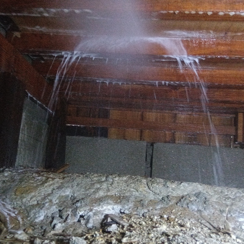 床下木材にシロアリ駆除剤を散布