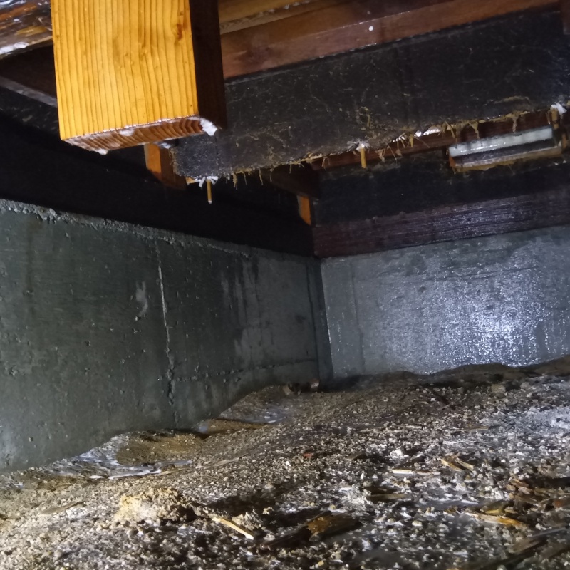 地面・基礎にシロアリ駆除剤を散布した様子