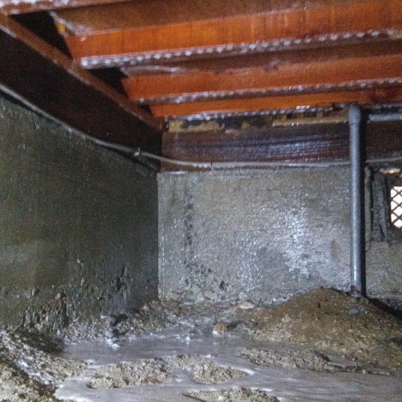 地面・基礎にシロアリ駆除剤を散布した様子