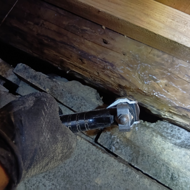 築年数50年のシロアリ駆除の施工事例（福井県坂井市春江町江留上日の出）