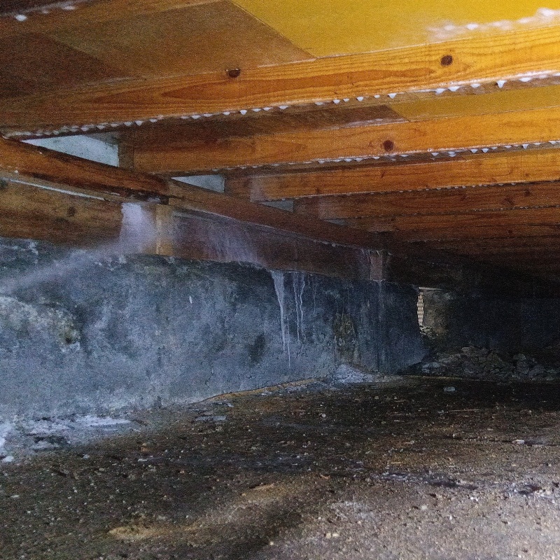 築年数50年のシロアリ駆除の施工事例（愛媛県松山市0）