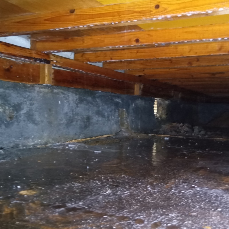 地面・基礎にシロアリ駆除剤を散布した様子