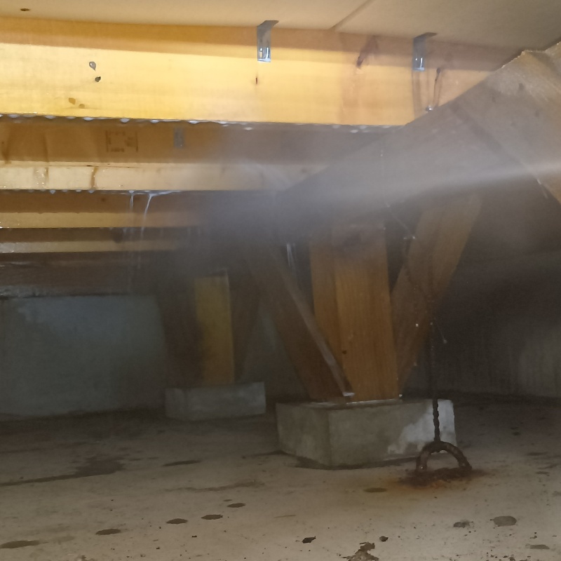 床下木材に防蟻剤を吹き付けている様子