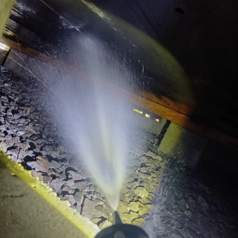 築年数41年のシロアリ駆除の施工事例（山形県山形市桜田西）