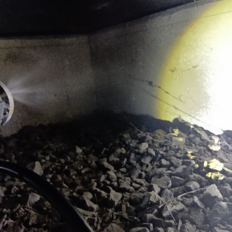 地面・基礎にシロアリ駆除剤を散布