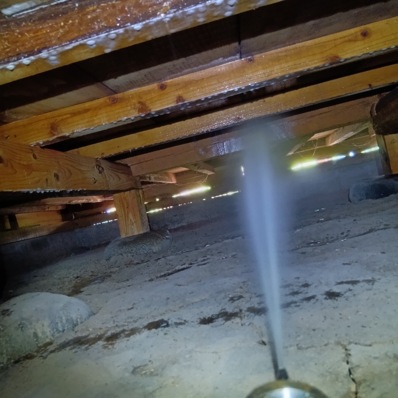 床下木材にシロアリ駆除剤を散布