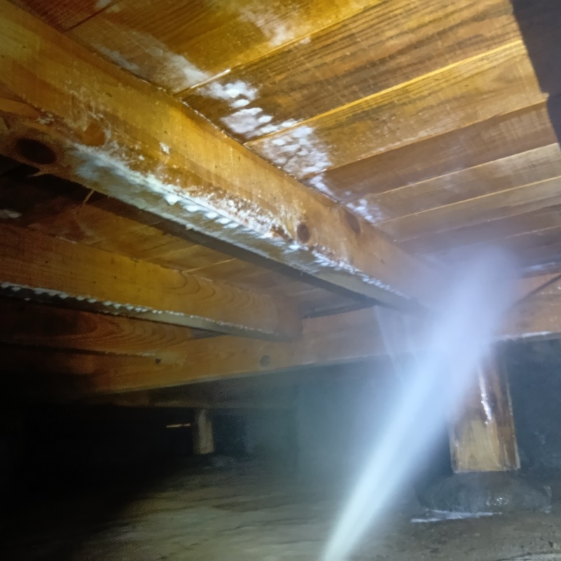 床下木材にシロアリ駆除剤を吹き付ける様子