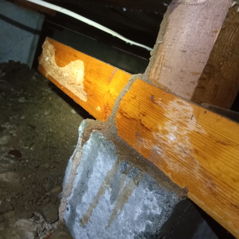 築年数30 年のシロアリ駆除の施工事例（山梨県甲斐市岩森）