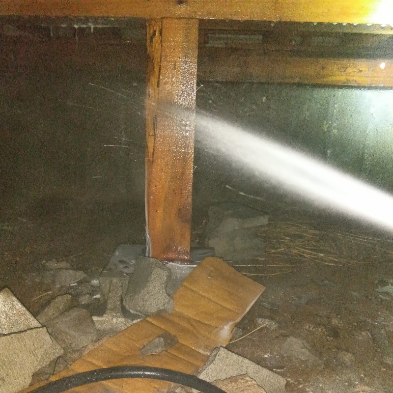 床下木材にシロアリ駆除剤を散布