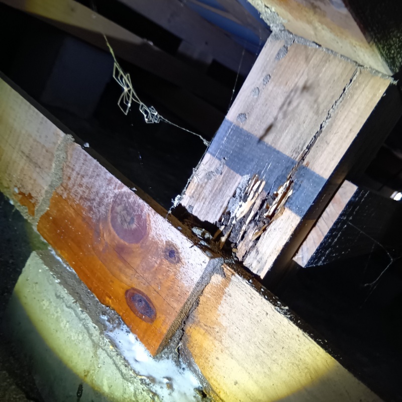 築年数37年のシロアリ駆除の施工事例（宮城県仙台市宮城野区岩切）