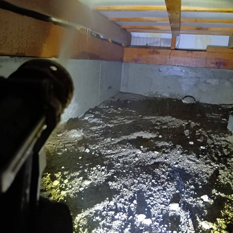 床下断熱材にシロアリ駆除剤を散布