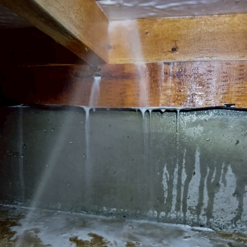 築年数26年のシロアリ駆除の施工事例（滋賀県大津市衣川）