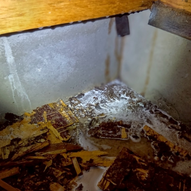 地面にシロアリ駆除剤を散布