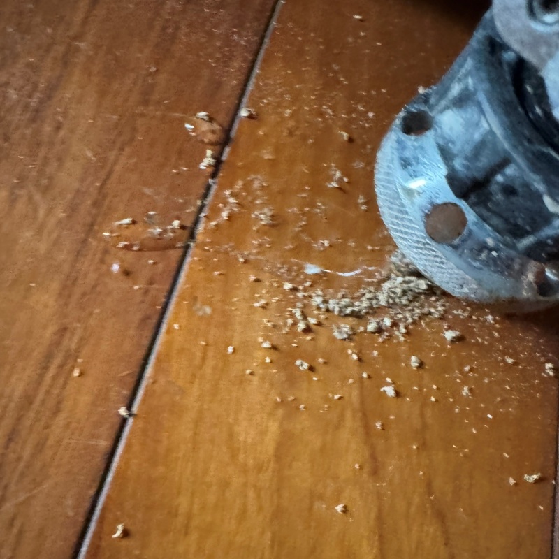 築年数70年のシロアリ駆除の施工事例（福岡県大川市三丸）