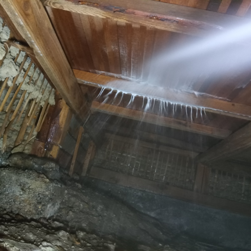 シロアリ駆除の施工事例（京都府京都市右京区龍安寺衣笠下町）