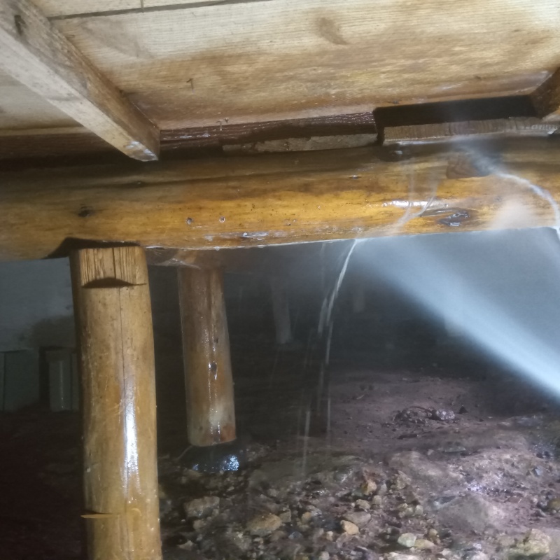 床下木材にシロアリ駆除剤を散布