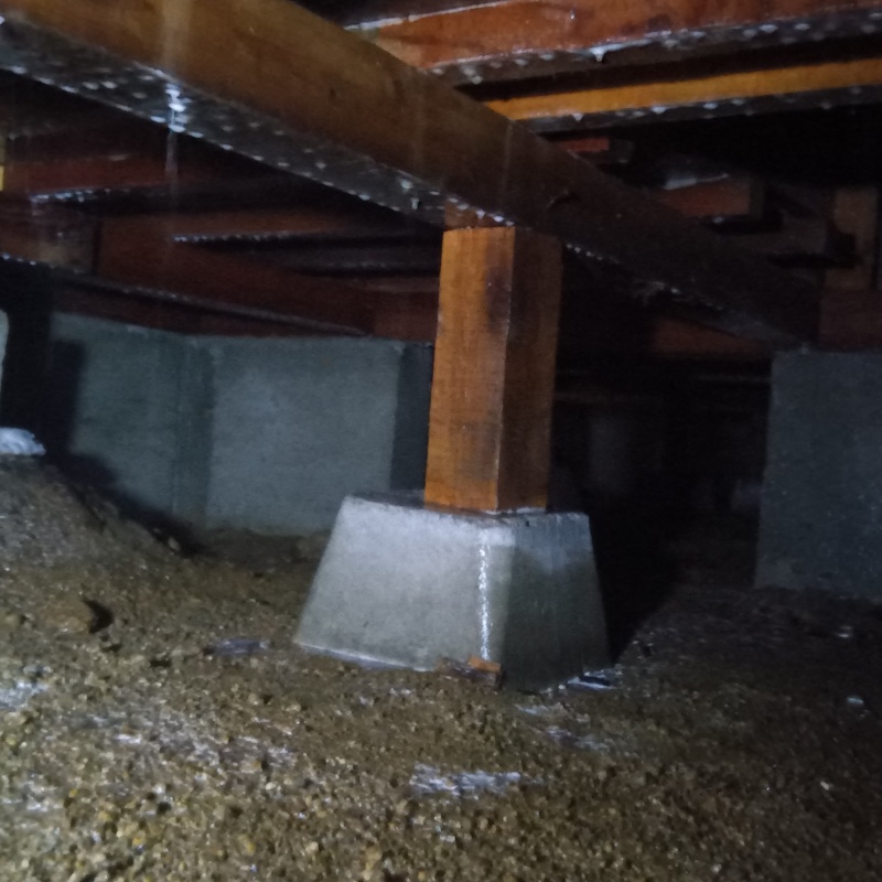 地面・基礎にシロアリ駆除剤を散布した様子