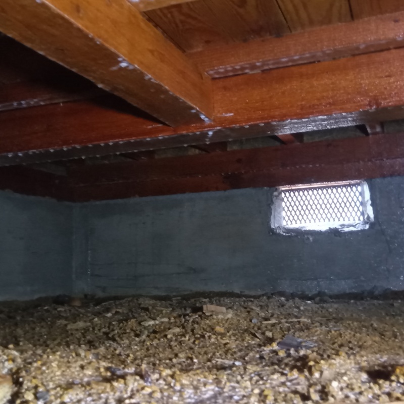 地面・基礎にシロアリ駆除剤を散布した様子