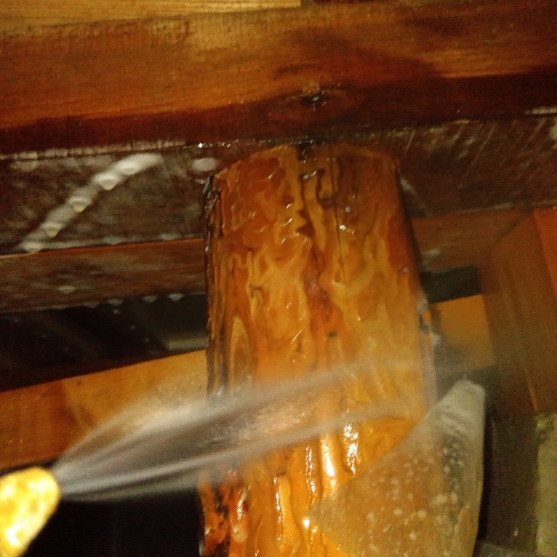 床下木材にシロアリ駆除剤を散布