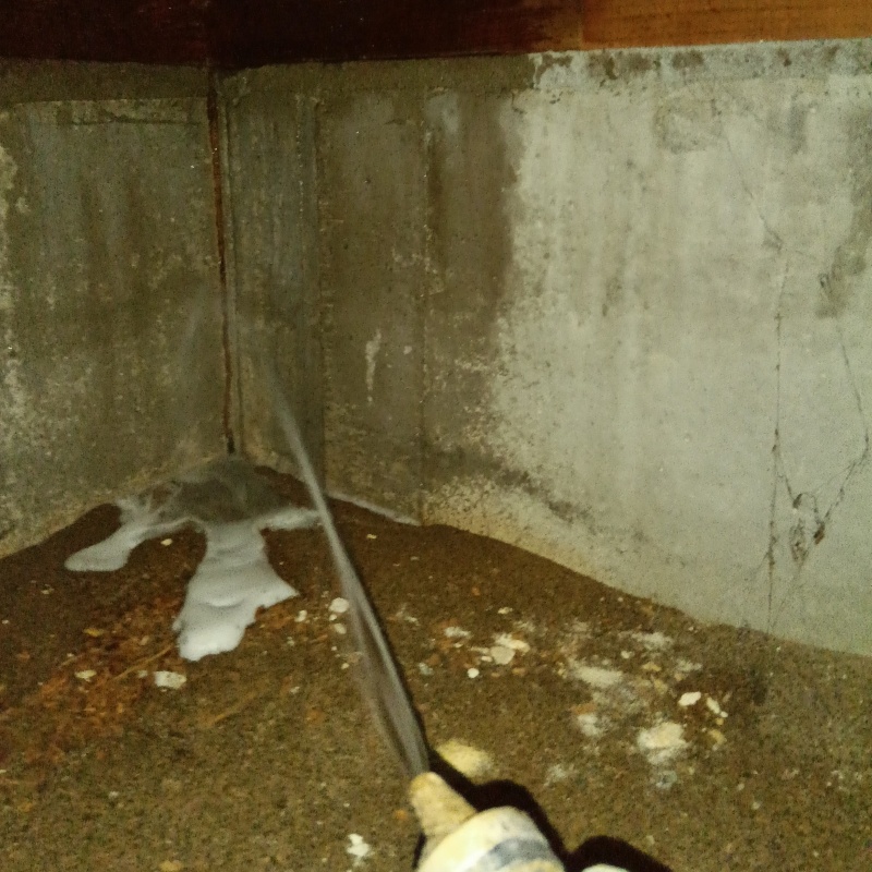 地面・基礎にシロアリ駆除剤を散布