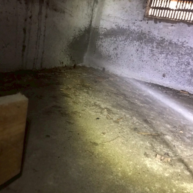 地面にシロアリ駆除剤を散布