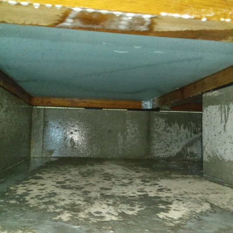 地面・基礎にシロアリ駆除剤を散布した様子