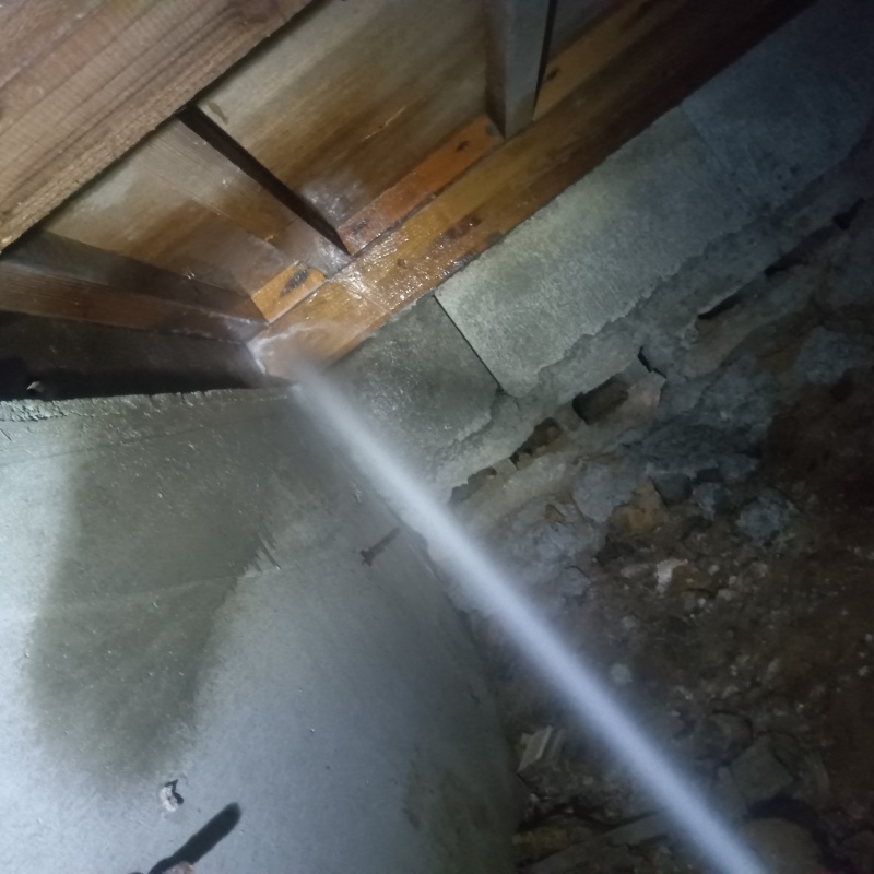 床下木材にシロアリ駆除剤を吹き付ける様子