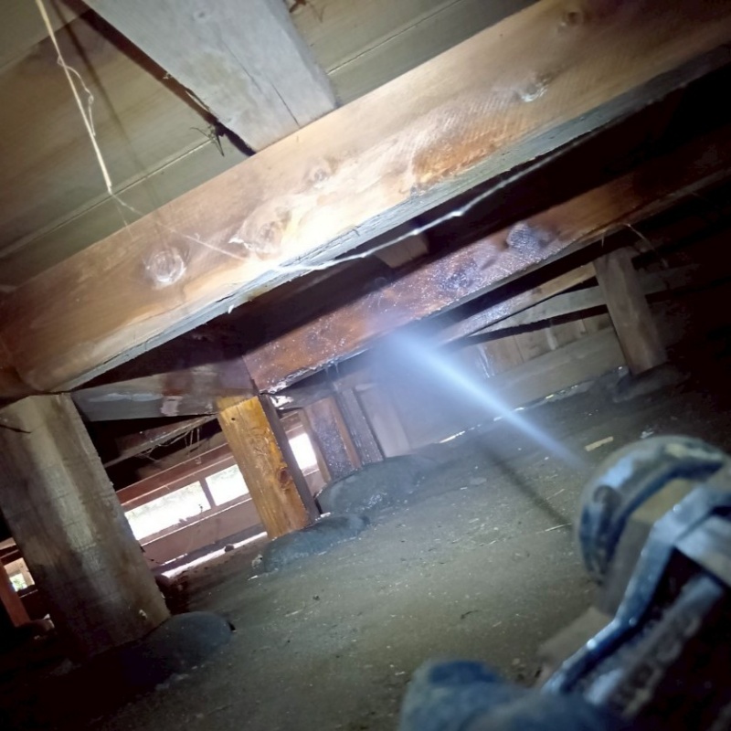 築年数130年のシロアリ駆除の施工事例（愛知県新城市愛郷南貝津）