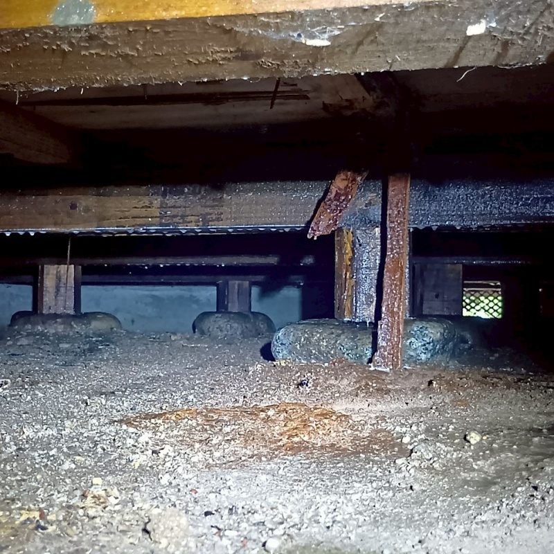 地面にシロアリ駆除剤を散布した様子