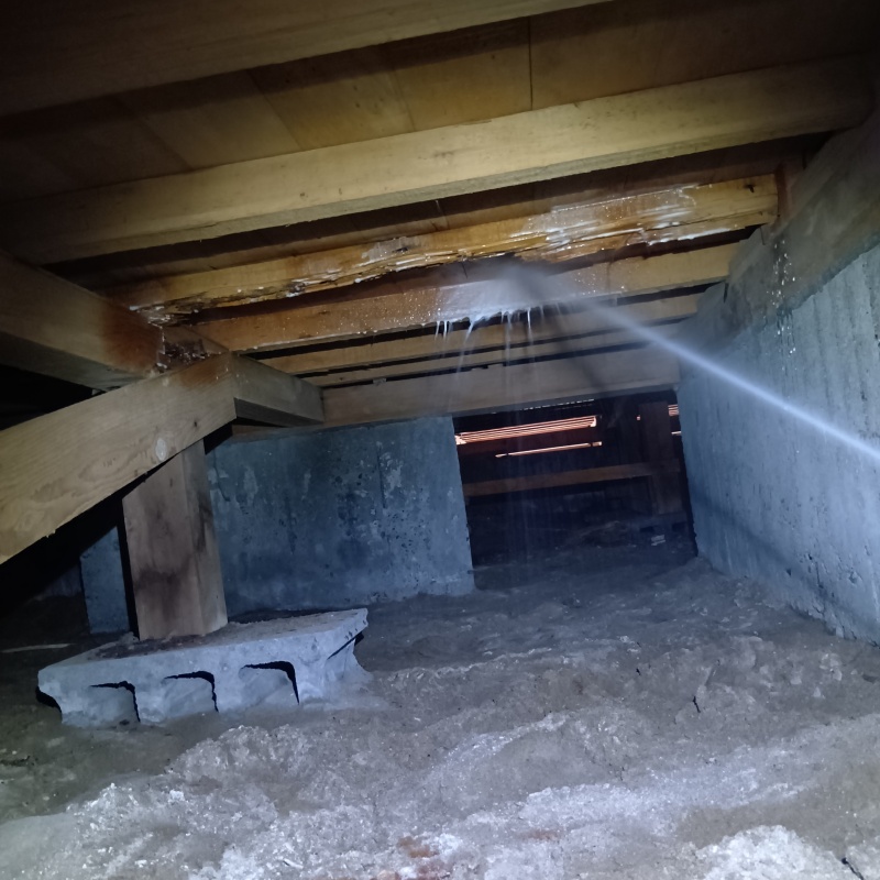 床下の木材にシロアリ駆除剤を散布する様子