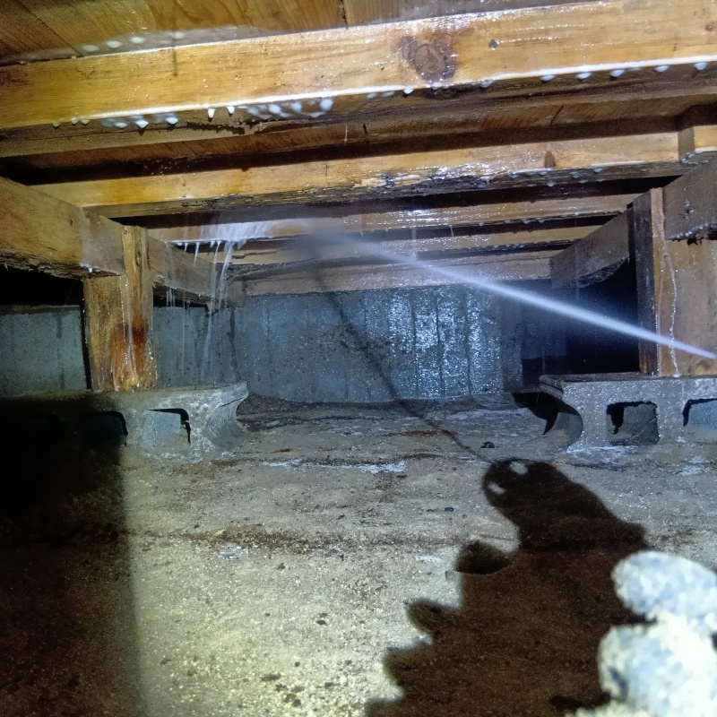 床下の木材にシロアリ駆除剤を散布する様子