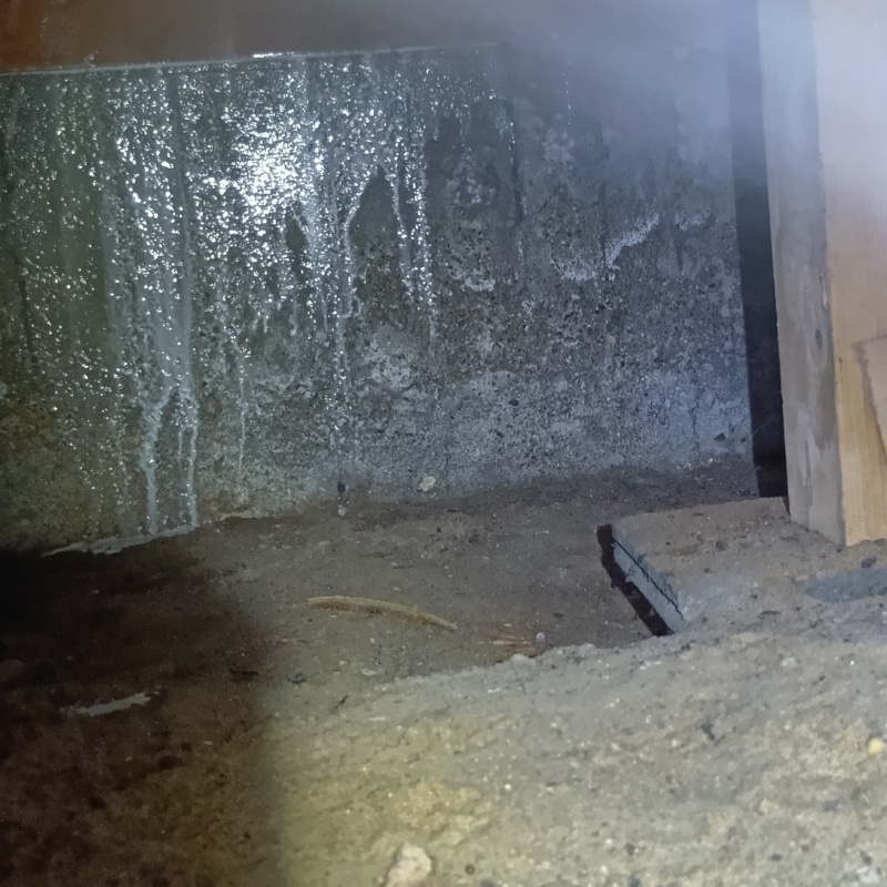 床下の基礎部分にシロアリ駆除剤を散布した様子