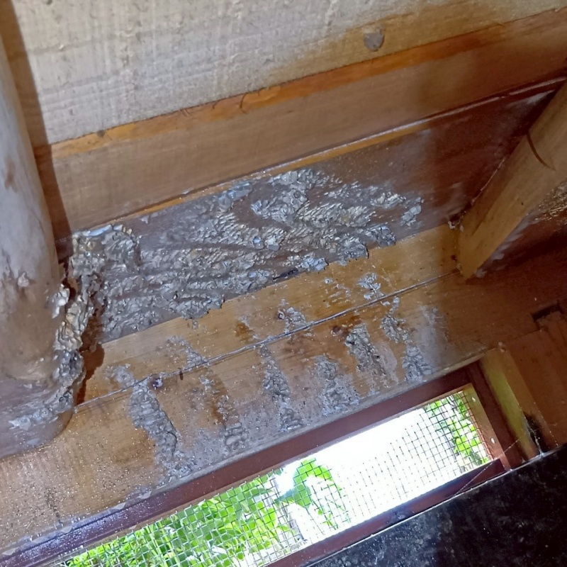 築年数60年のシロアリ駆除の施工事例（岐阜県恵那市山岡町上手向）