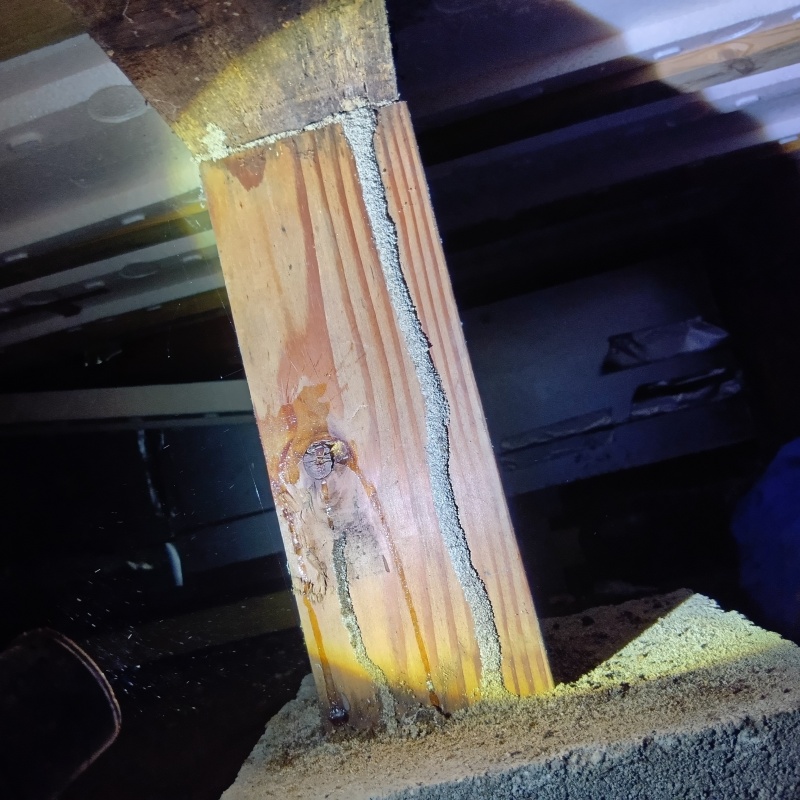 築年数50年のシロアリ駆除の施工事例（宮城県黒川郡大和町吉岡字立下）