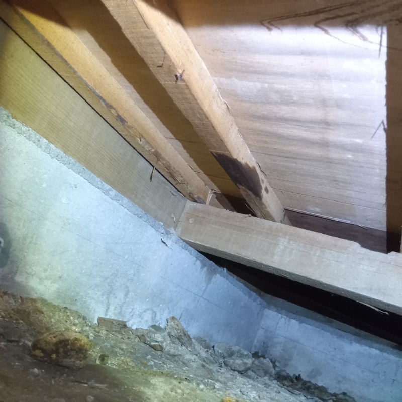 築年数50年のシロアリ駆除の施工事例（山口県下関市彦島桜ケ丘町）